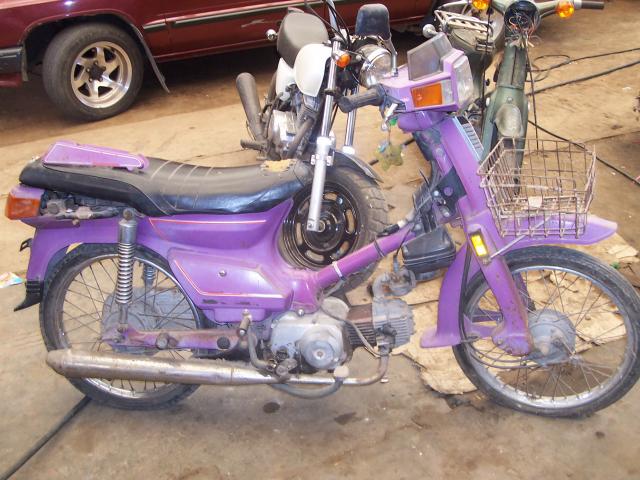 Name:  100_4802.jpg
Views: 1613
Size:  62.0 KB