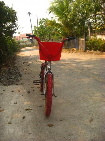 Name:  STC_6564.jpg
Views: 1292
Size:  33.2 KB