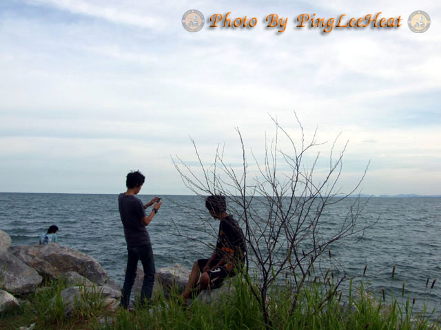 Name:  DSCF2269.jpg
Views: 497
Size:  79.5 KB