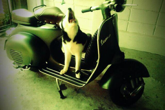 Name: 402449_385049004842306_100000116290015_1651495_2078750957_n.jpg
Views: 208
Size: 38.8 KB