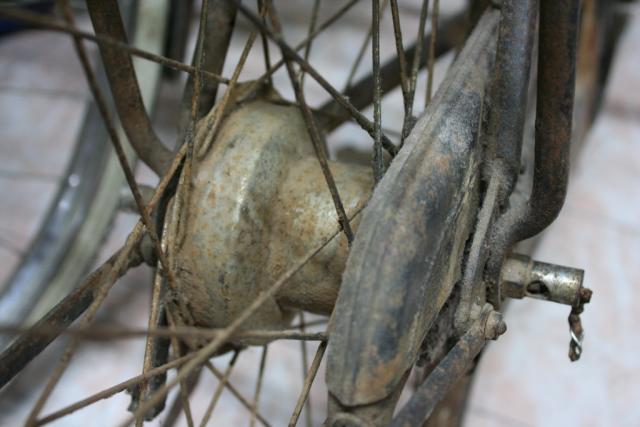 Name:  IMG_0884 (1024x683).jpg
Views: 807
Size:  36.4 KB