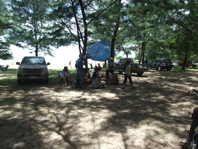 Name:  DSCF2505.jpg
Views: 334
Size:  134.8 KB