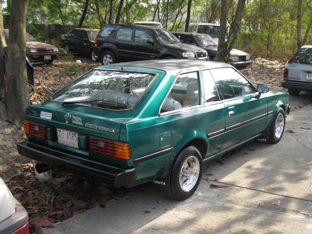 Name:  IMG_1352[1].jpg
Views: 991
Size:  65.3 KB