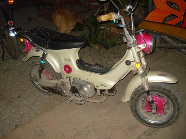 Name:  DSC02547.jpg
Views: 412
Size:  44.2 KB