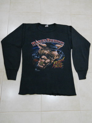 Name:  DSCN1169.jpg
Views: 1205
Size:  29.7 KB