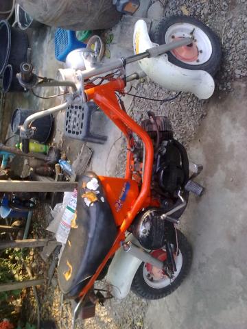 Name:  !5295.jpg
Views: 127
Size:  36.7 KB