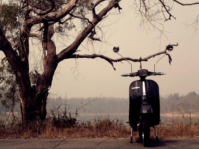 Name:  Photo0100.jpg
Views: 132
Size:  57.8 KB