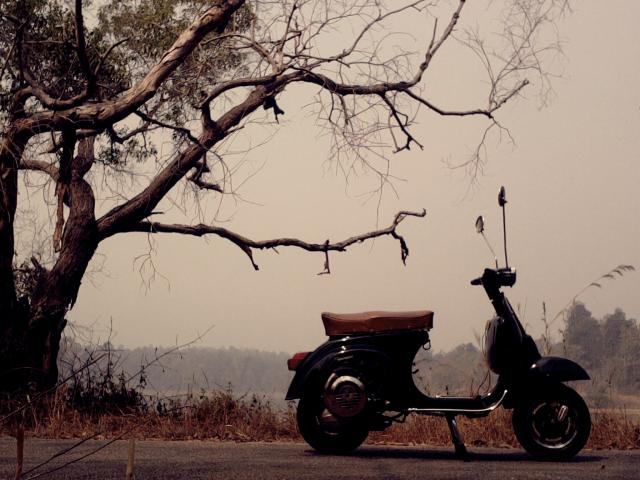 Name:  Photo0099.jpg
Views: 130
Size:  52.5 KB
