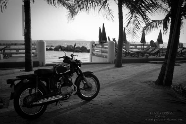Name:  _MG_0140.jpg
Views: 575
Size:  40.6 KB