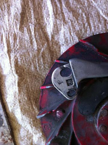 Name:  432107_298641083534481_100001657765245_742287_1832261350_n.jpg
Views: 949
Size:  36.3 KB