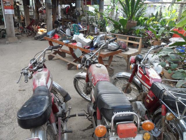 Name:  SAM_4463.jpg
Views: 417
Size:  70.7 KB