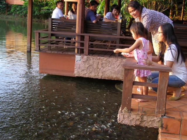 Name:  P1010030.jpg
Views: 341
Size:  64.5 KB