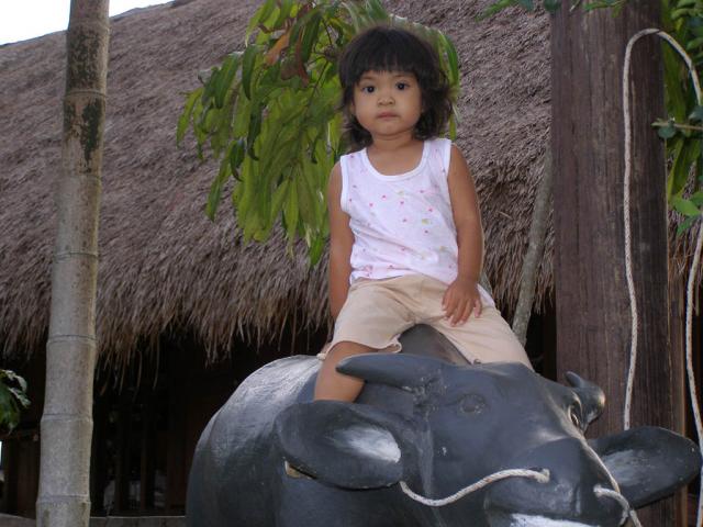 Name:  P1010029.jpg
Views: 276
Size:  49.9 KB