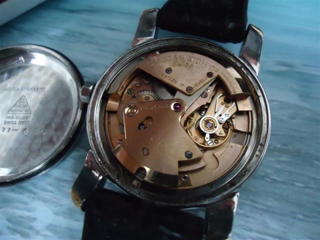 Name:  DSC01194 (Medium).jpg
Views: 851
Size:  40.2 KB