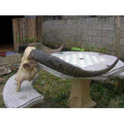 Name:  koacarabao-250x250.jpg
Views: 4292
Size:  46.3 KB
