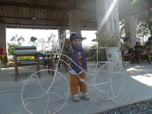 Name:  SAM_1044.JPG
Views: 109
Size:  78.0 KB