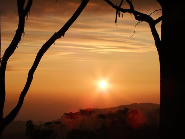 Name:  377896_325658220800128_100000678578570_1063879_1701844832_n.jpg
Views: 86
Size:  25.7 KB