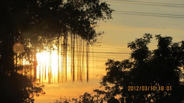 Name:  IMG_1164.jpg
Views: 372
Size:  43.1 KB