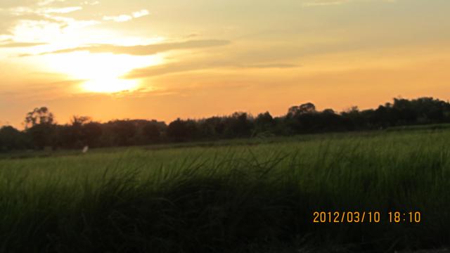 Name:  IMG_1190.jpg
Views: 331
Size:  18.3 KB