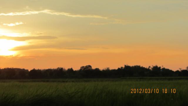 Name:  IMG_1188.jpg
Views: 326
Size:  15.5 KB