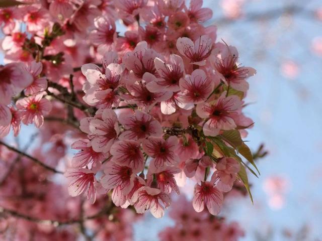 Name:  390494_325726164126667_100000678578570_1064264_147925797_n.jpg
Views: 76
Size:  45.9 KB