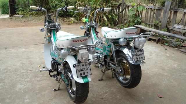 Name:  DSC04855.jpg
Views: 1249
Size:  51.9 KB