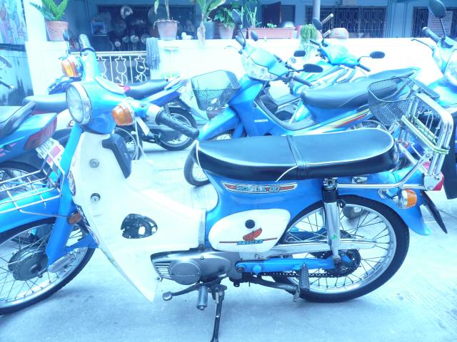 Name:  P1030140.jpg
Views: 339
Size:  66.1 KB