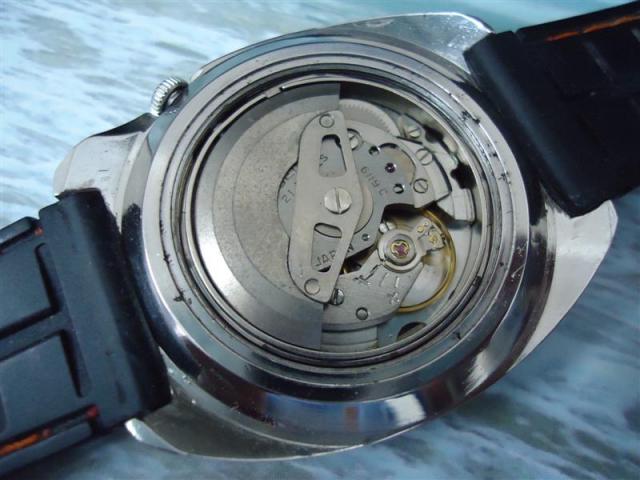 Name:  DSC01328 (Medium).jpg
Views: 793
Size:  44.3 KB