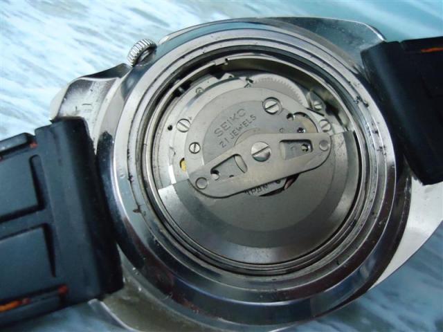 Name:  DSC01330 (Medium).jpg
Views: 789
Size:  44.1 KB