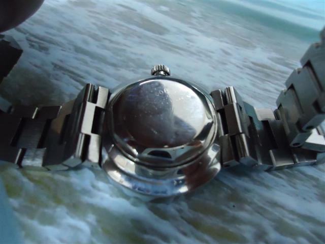 Name:  DSC01341 (Medium).jpg
Views: 767
Size:  33.1 KB