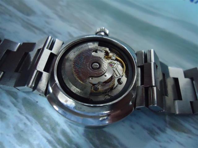 Name:  DSC01343 (Medium).jpg
Views: 758
Size:  35.2 KB