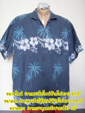 Name:  034-01 21.5-24.5-26.jpg
Views: 371
Size:  29.4 KB