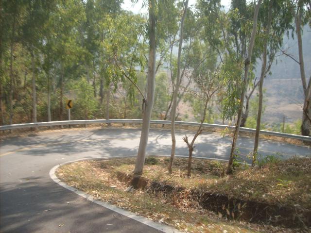 Name:  SANY6466.jpg
Views: 861
Size:  60.3 KB