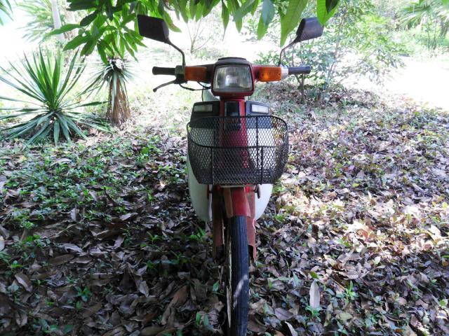 Name:  SAM_3374.jpg
Views: 826
Size:  96.0 KB