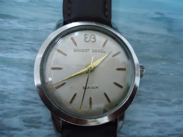 Name:  DSC01263 (Medium).jpg
Views: 738
Size:  29.0 KB