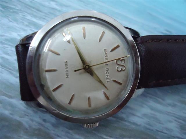 Name:  DSC01265 (Medium).jpg
Views: 743
Size:  30.4 KB