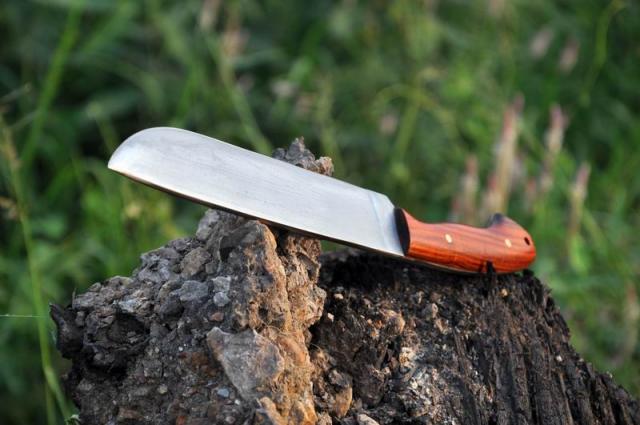 Name:  Re-exposure of DSC_0047.jpg
Views: 953
Size:  41.2 KB