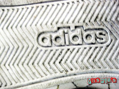 Name:  IMG_5285.JPG
Views: 893
Size:  65.9 KB