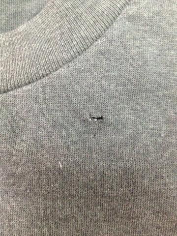 Name:  423264_406607819365759_100000496330814_1555057_384967353_n.jpg
Views: 233
Size:  52.4 KB