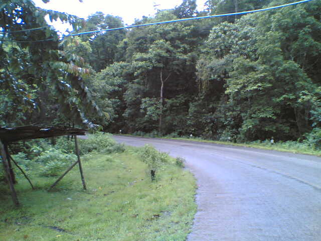 Name:  05082007(014).jpg
Views: 465
Size:  44.1 KB