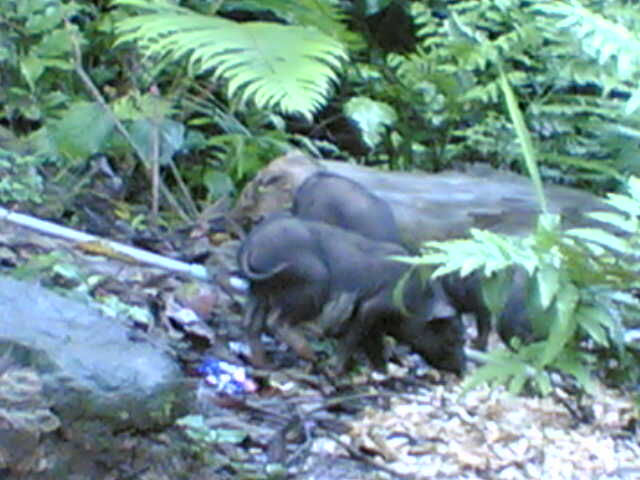 Name:  05082007(015).jpg
Views: 472
Size:  41.2 KB