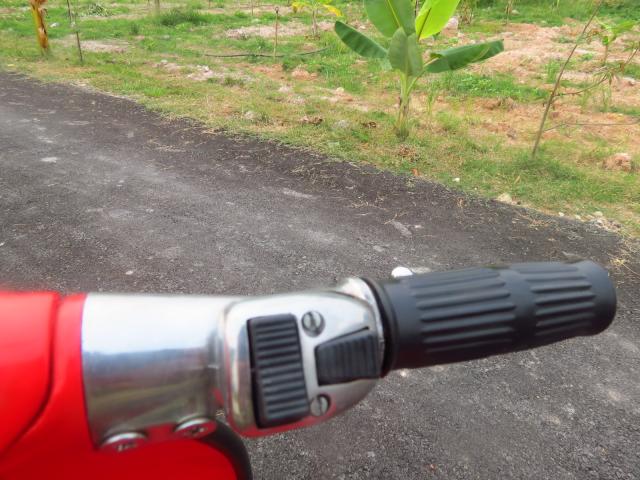 Name:  IMG_0733.jpg
Views: 4938
Size:  55.6 KB