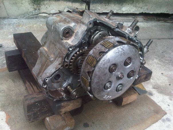 Name:  531859_10150711585899391_721914390_9342143_1666549221_n.jpg
Views: 1944
Size:  54.3 KB