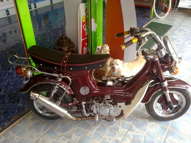 Name:  30032012454.jpg
Views: 280
Size:  103.5 KB