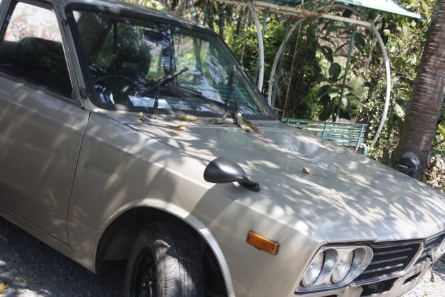 Name:  _MG_0870.jpg
Views: 678
Size:  53.8 KB