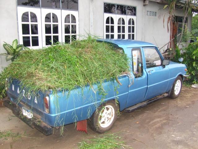 Name:  DSCF0315.jpg
Views: 257
Size:  66.9 KB