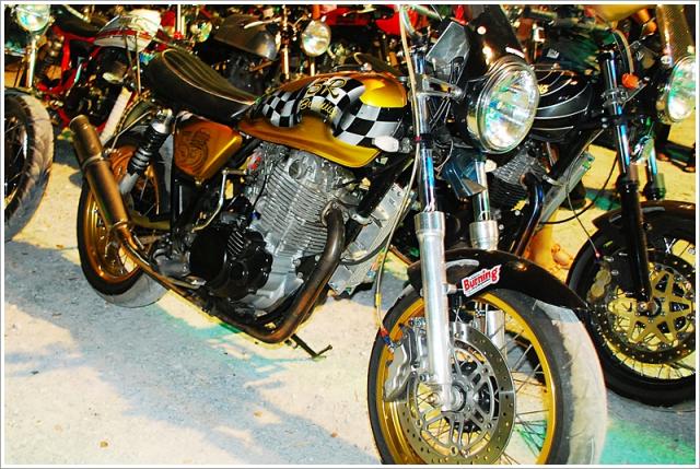 Name:  DSC_0871.jpg
Views: 1327
Size:  78.8 KB