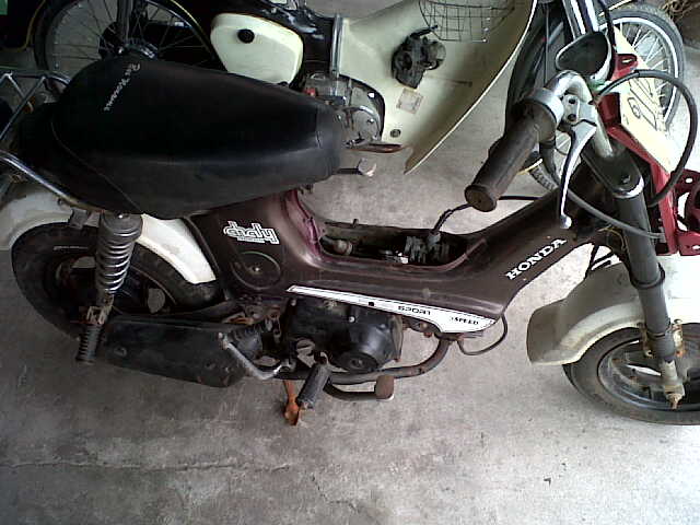 Name:  IMG00120-20120401-0833.jpg
Views: 1579
Size:  42.9 KB