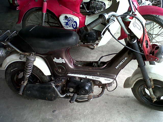 Name:  IMG00125-20120404-1133.jpg
Views: 744
Size:  45.8 KB