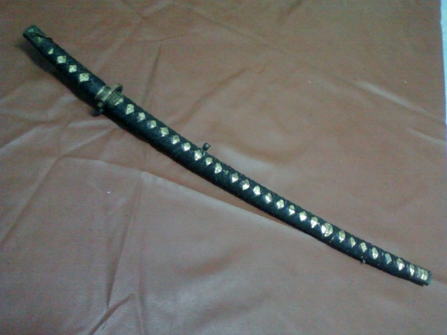 Name:  SP_A2552.jpg
Views: 247
Size:  137.1 KB